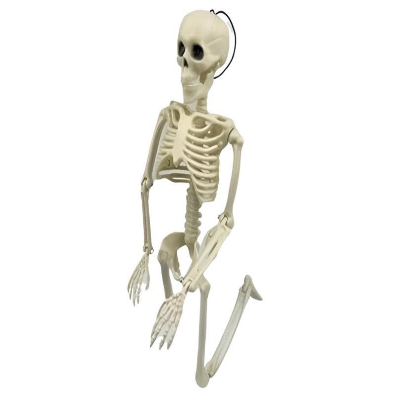 Skelett als hängende 40-cm-Dekoration