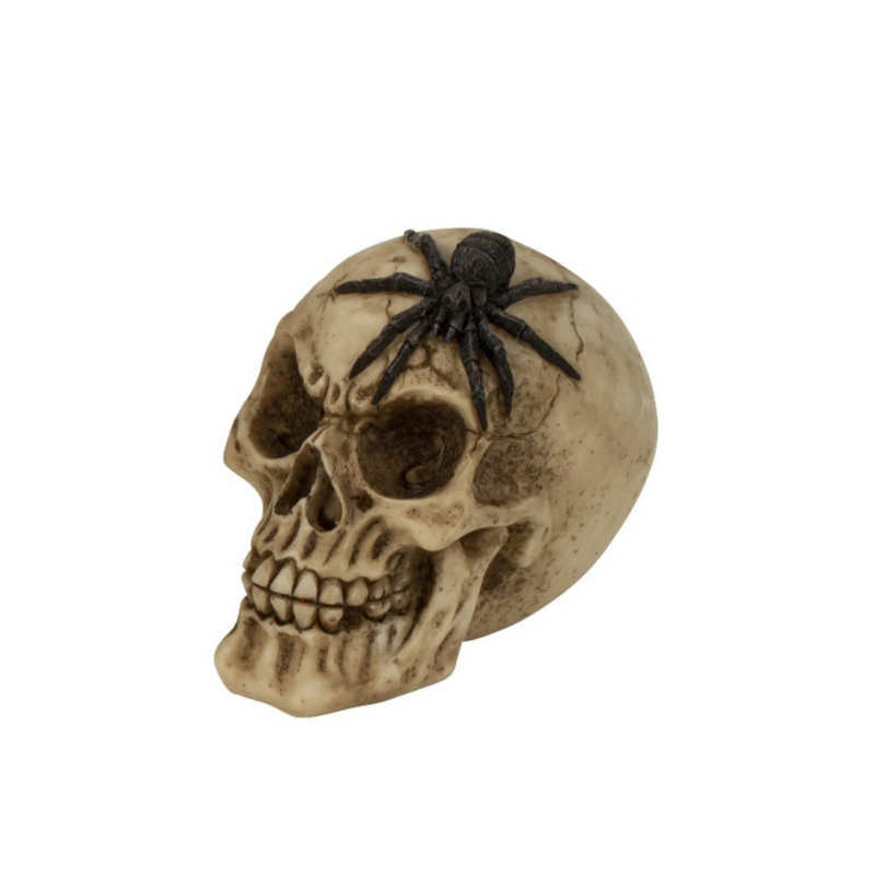Totenkopf mit Spinne