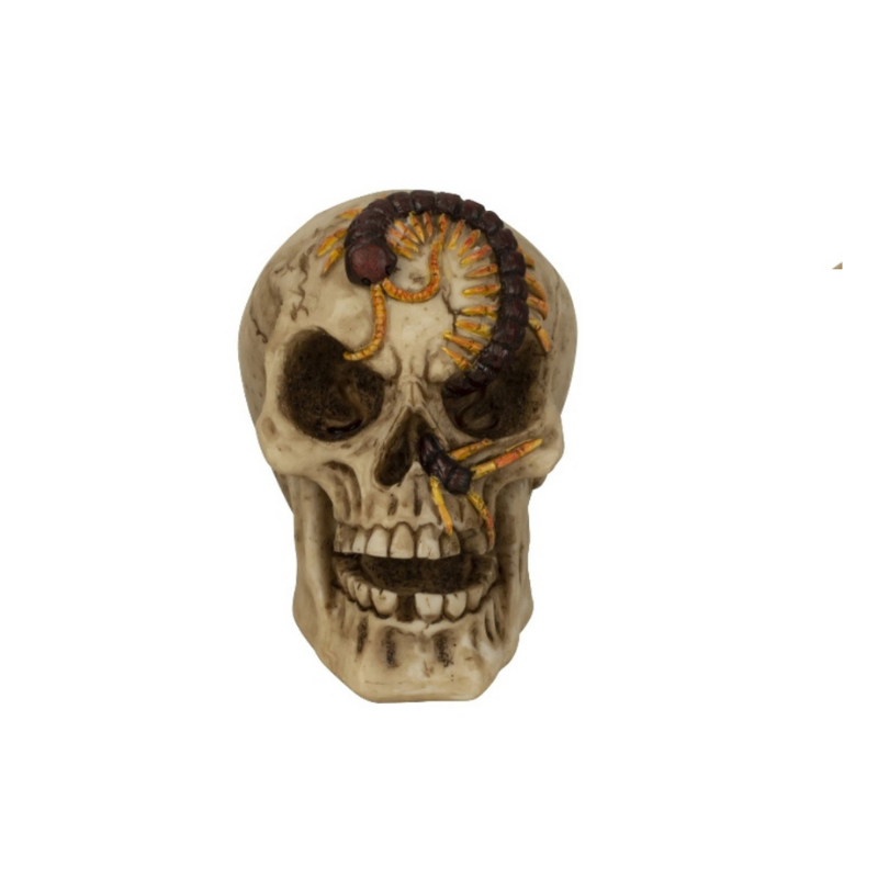 Totenkopf Tausendfüßler