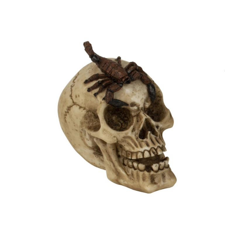 Totenkopf mit Skorpion